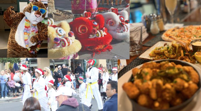 Best of Los Gatos 2023 Family