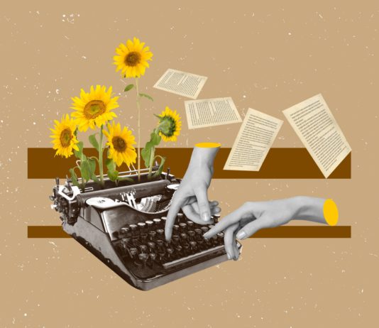 guest view illustration