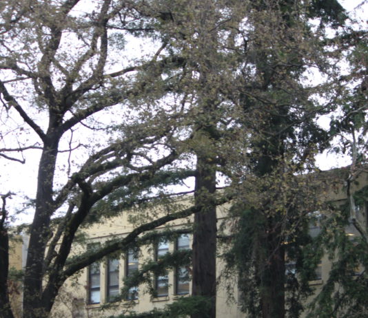 High schoolers get ‘perfect’ score on state exams Los Gatos High School wing