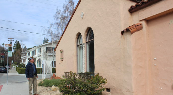 vet looks at building