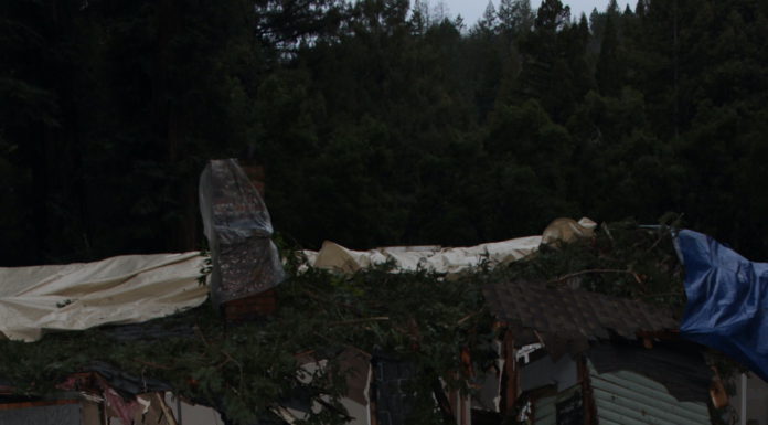 couple in the rubble