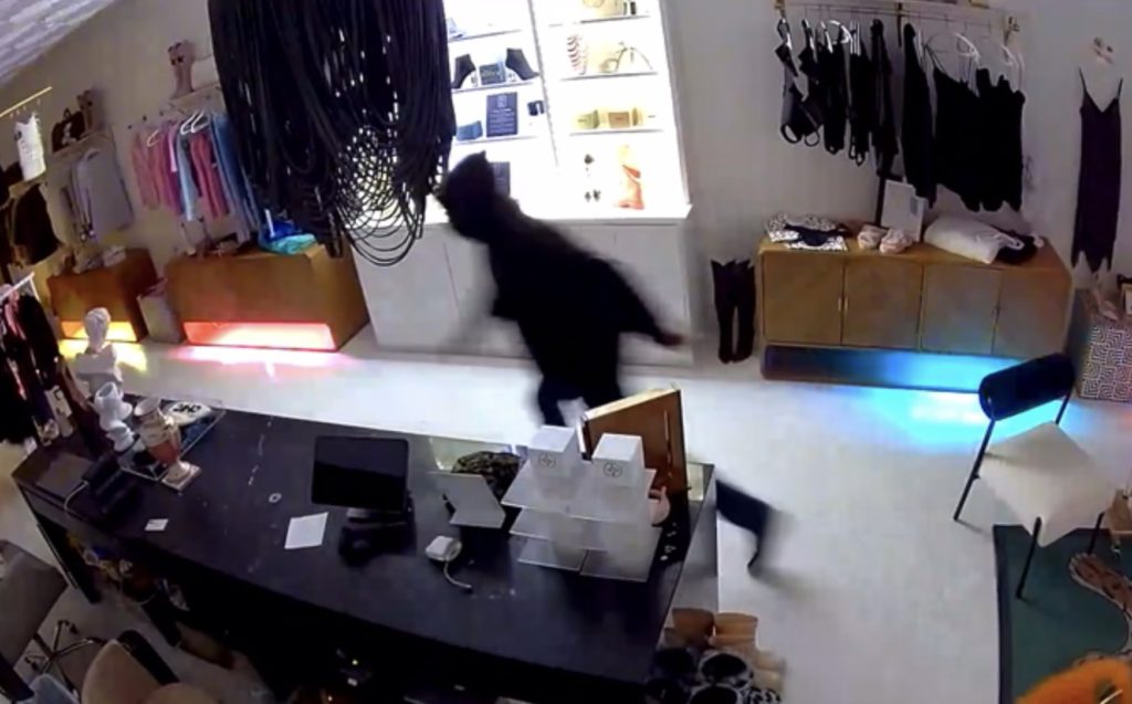 Image for display with article titled Downtown Boutiques Deal With Break-Ins