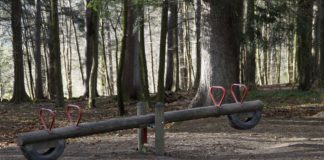 Seesaw in the forest