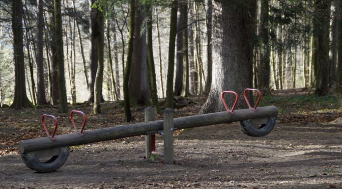 Seesaw in the forest