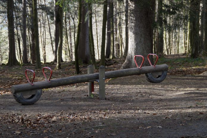 Seesaw in the forest