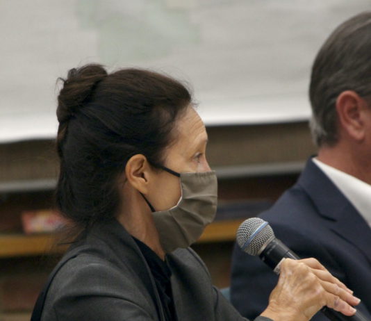 Town Manager Laurel Prevetti