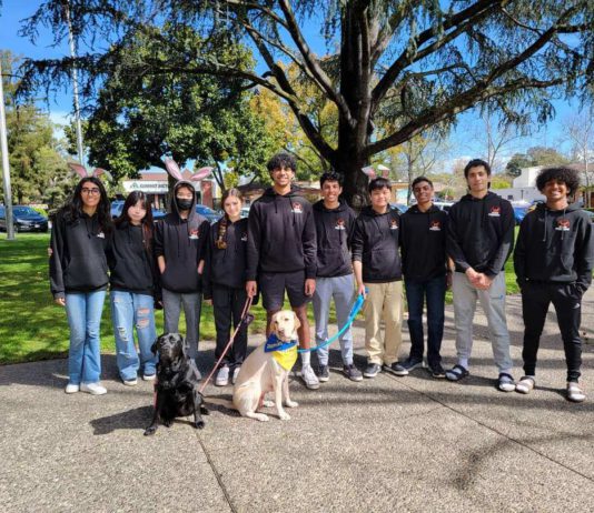 cookie decorating event
