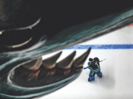 San Jose Sharks goalie from above