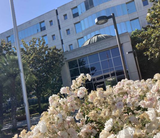 Man accused of murdering wife appears in court Hall of Justice with flowers