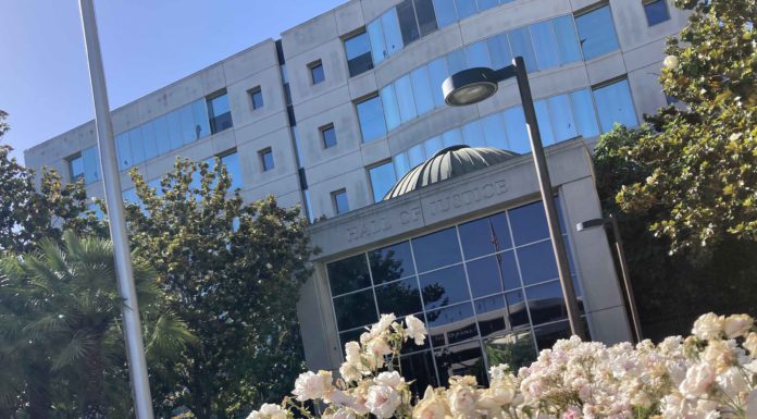 Hall of Justice with flowers