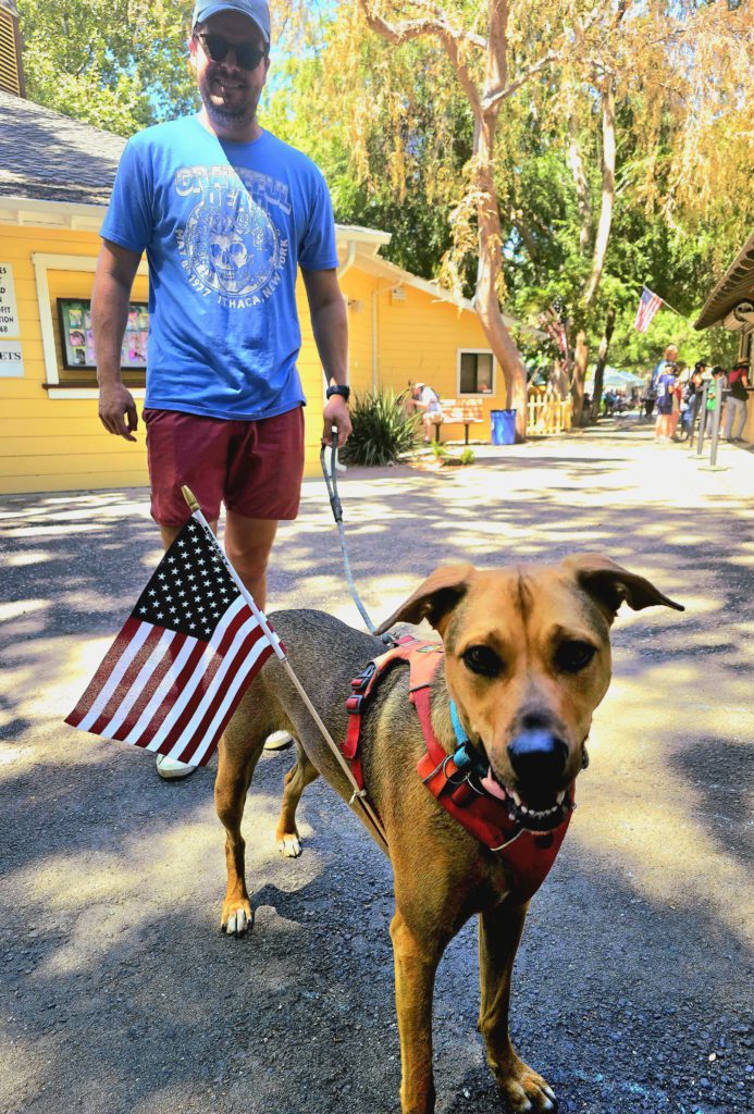 dog and walker