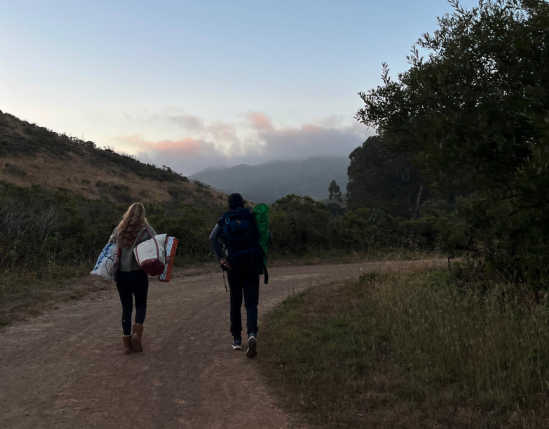 pathway at dusk