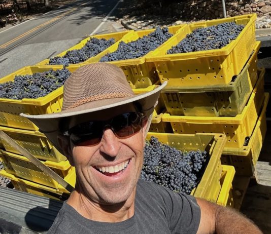 Jim Cargill with grapes in yellow square containers