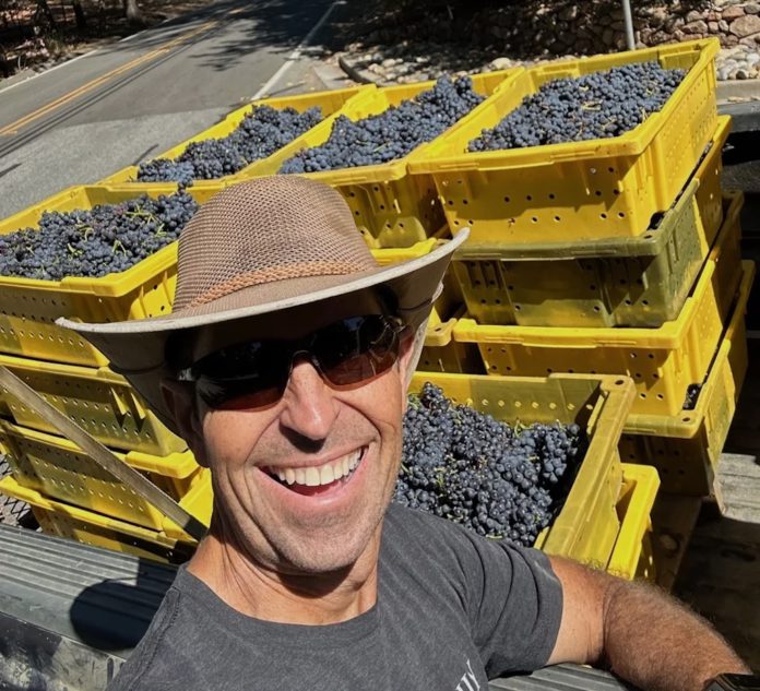 Jim Cargill with grapes in yellow square containers