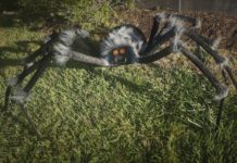 Spooky spider