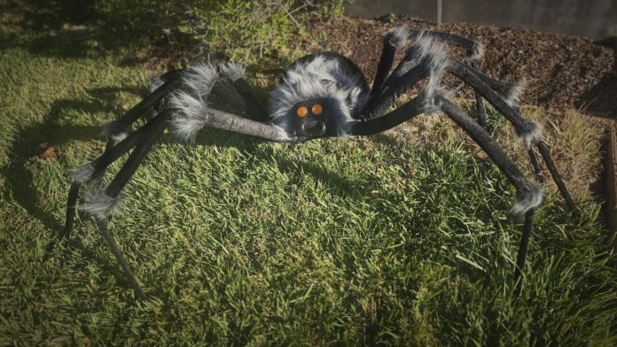 Spooky spider