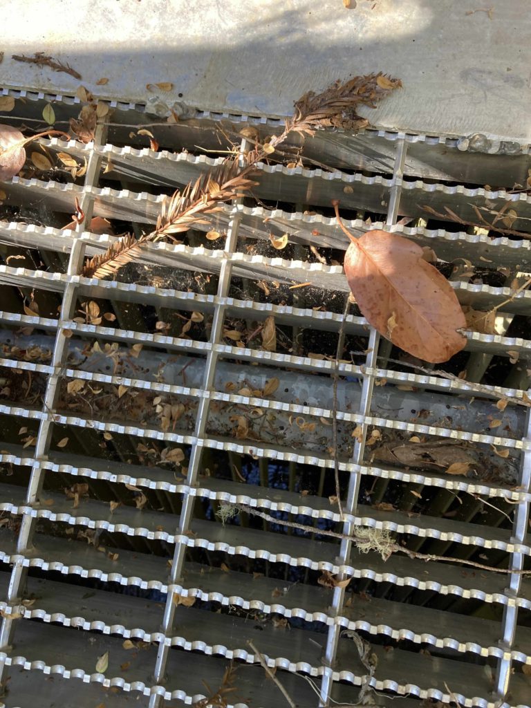 leaves on grate above intake