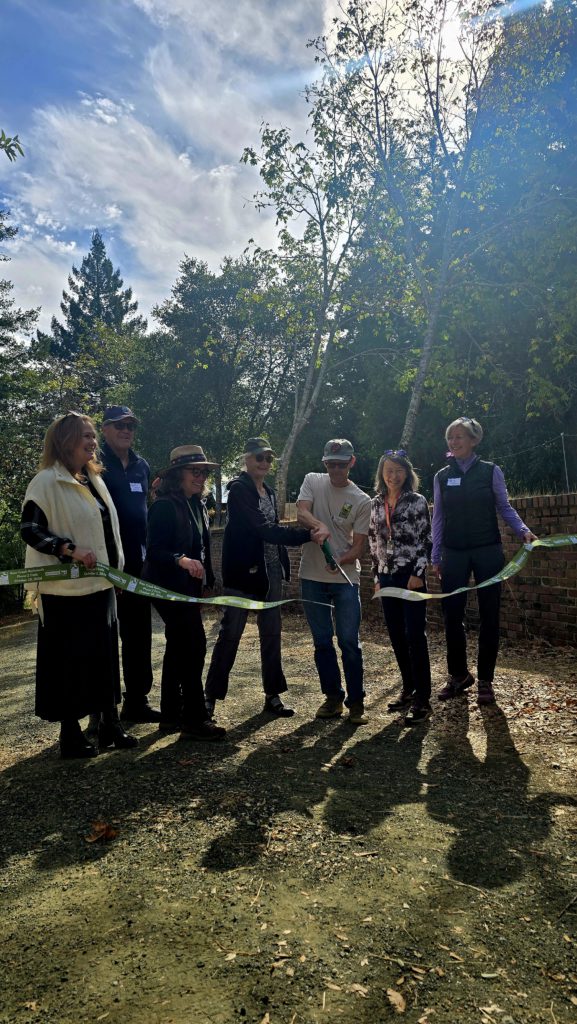 Image for display with article titled 4 More Miles of Trail Opened at Bear Creek Redwoods Preserve