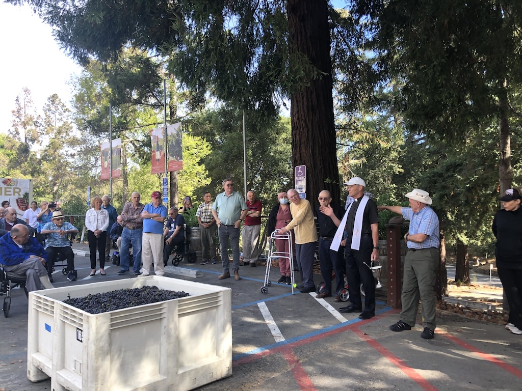 blessing of the grapes