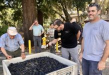 Blessing of the Grapes