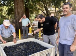 Blessing of the Grapes