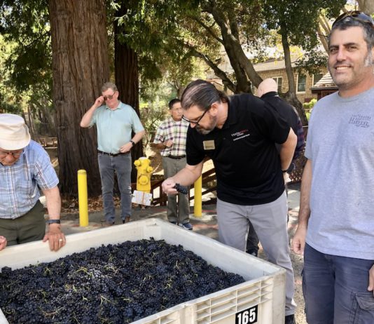 Blessing of the Grapes