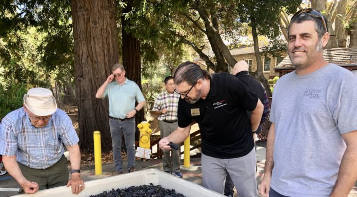 Blessing of the Grapes