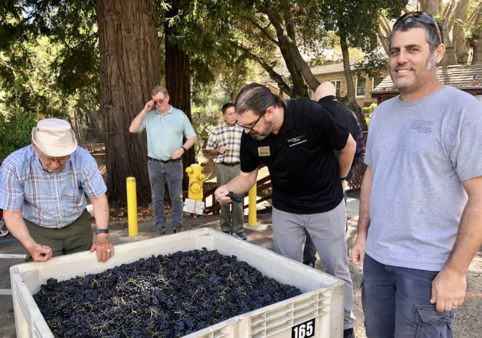 Blessing of the Grapes