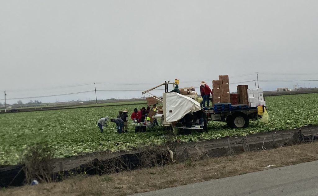 Image for display with article titled State Senator Dave Cortese Urges More Protections for Farmworkers