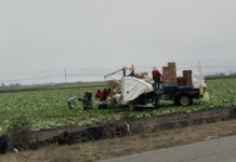 farmworkers with truck in the field