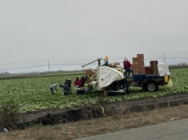 farmworkers with truck in the field