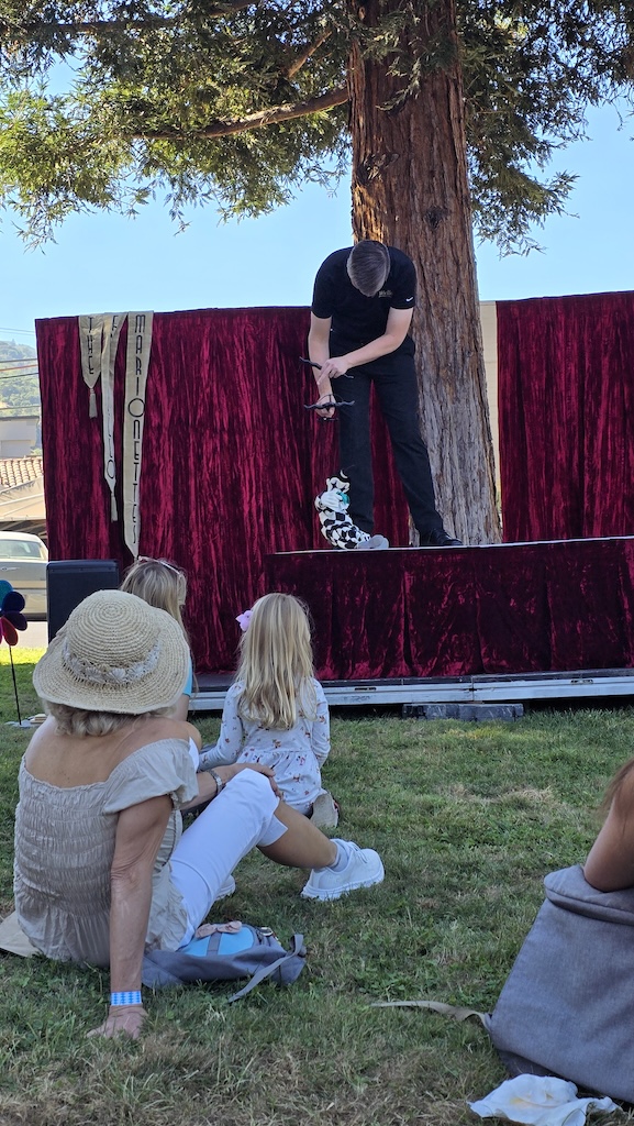 marionette show