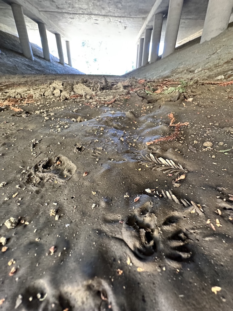 underpass tunnel