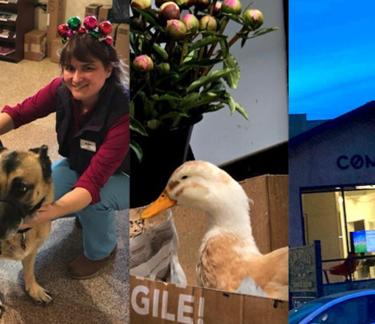 Goods and Services winners