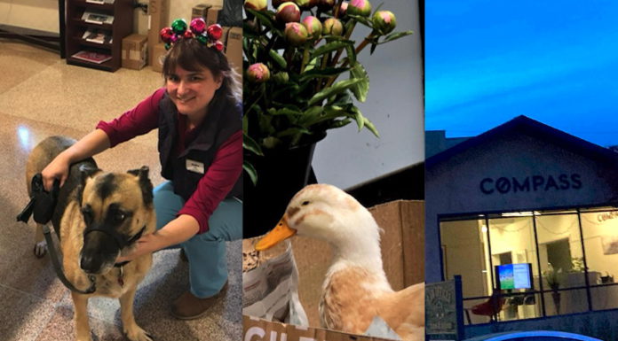 Best of Los Gatos 2024: Goods & Services Goods and Services winners