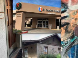 Best of Los Gatos 2024