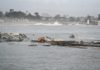 wharf collapse in Santa Cruz