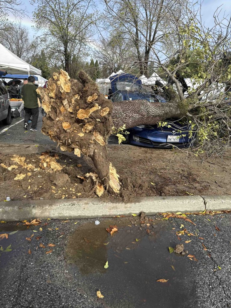 storm damage