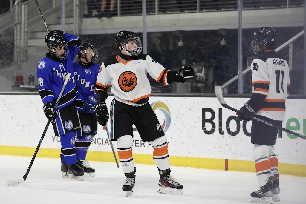 celebration on the ice