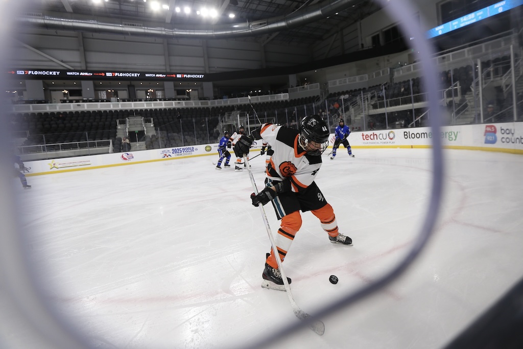 female hockey player