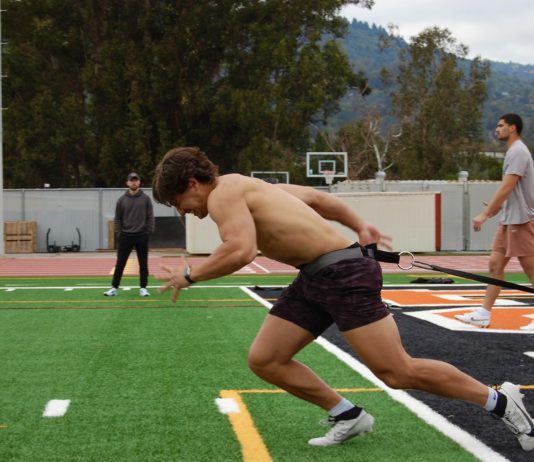 weighted sled pull