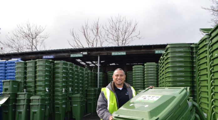 green bins