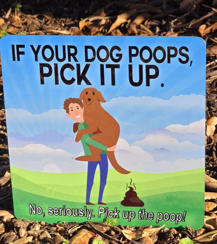 poop illustration