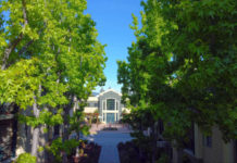 A tree-lined walk at The Terraces of Los Gatos