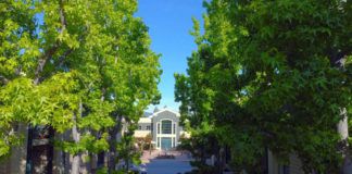 A tree-lined walk at The Terraces of Los Gatos