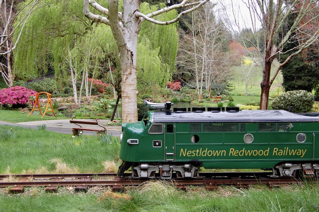 train in the redwoods