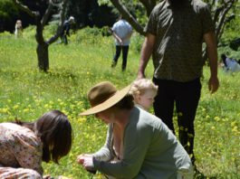 egg hunt in the field