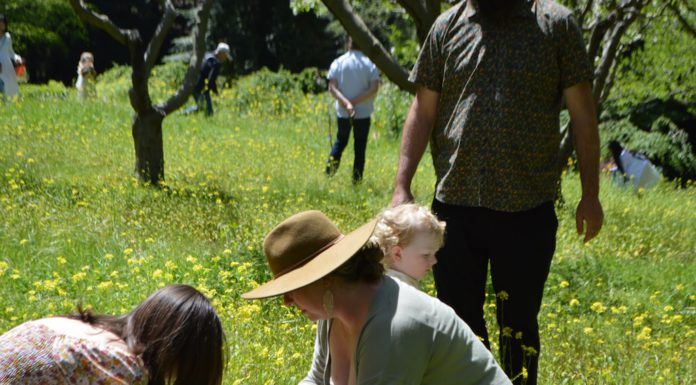 egg hunt in the field