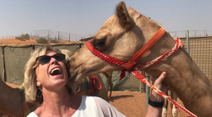 camel with Pamela