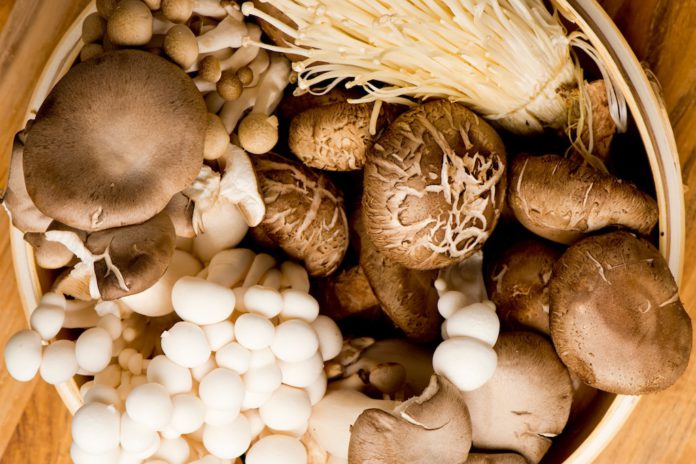 Mushrooms